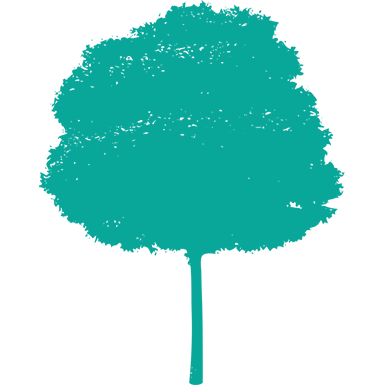 arbre